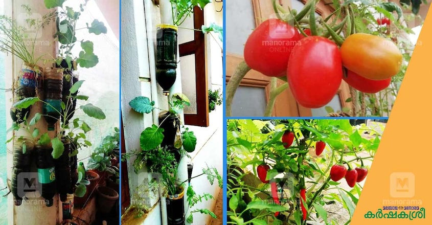 banglore-home-garden-3 banglore-home-garden-3