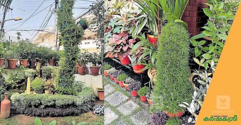 award-winning-garden-1 award-winning-garden-1