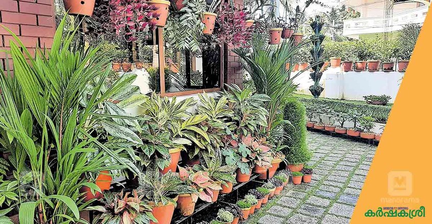 award-winning-garden-2 award-winning-garden-2