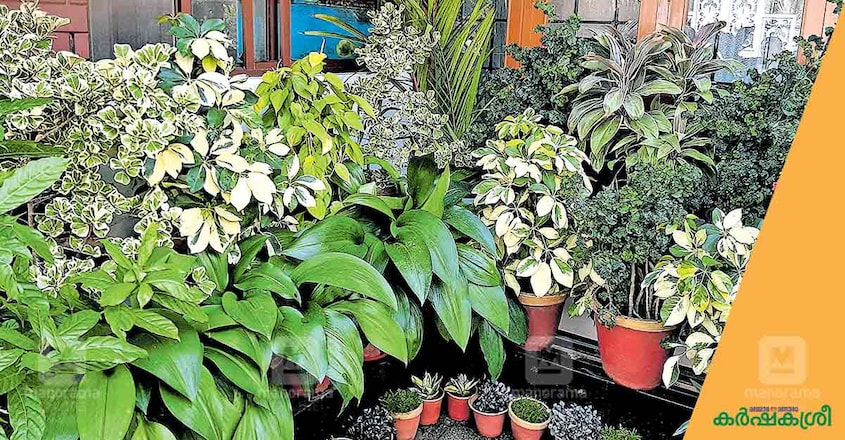 award-winning-garden-3 award-winning-garden-3