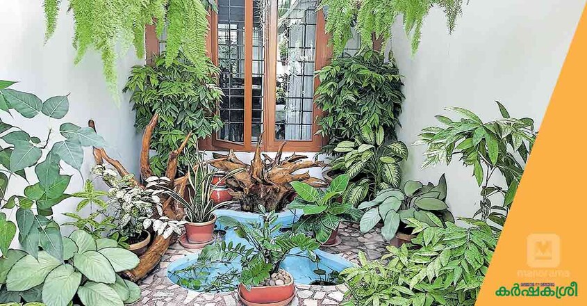 award-winning-garden-4 award-winning-garden-4
