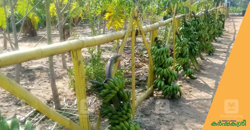 titanium-farming-1 titanium-farming-1