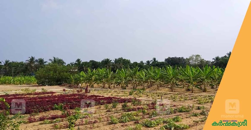 titanium-farming-2 titanium-farming-2