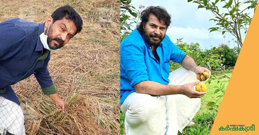 mammooty-krishnaprasad mammooty-krishnaprasad