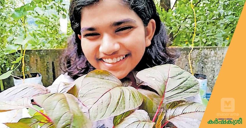 riya-jose-farmer-1 riya-jose-farmer-1
