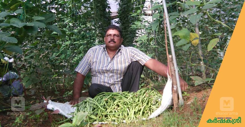shaji-mathew-wheelchair-farmer-3 shaji-mathew-wheelchair-farmer-3