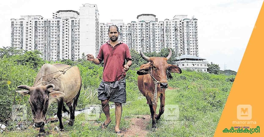 roy-ekm-farmer-3 roy-ekm-farmer-3