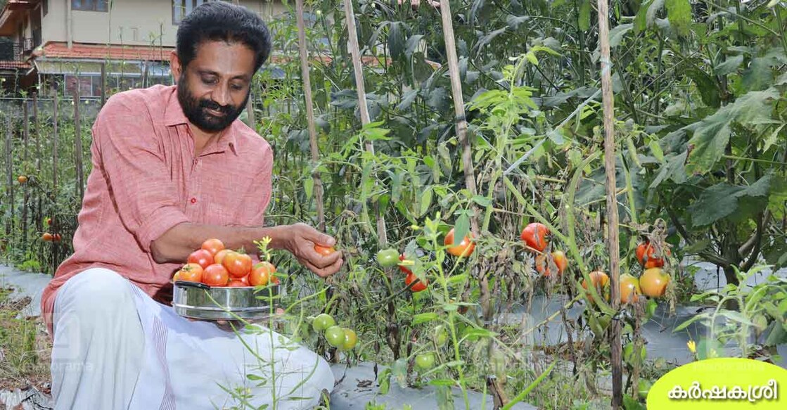 vegetable-farmer-unnikrishnan