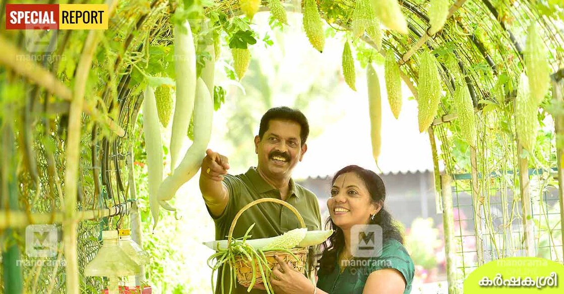 vegetable-alapuzha vegetable-alapuzha