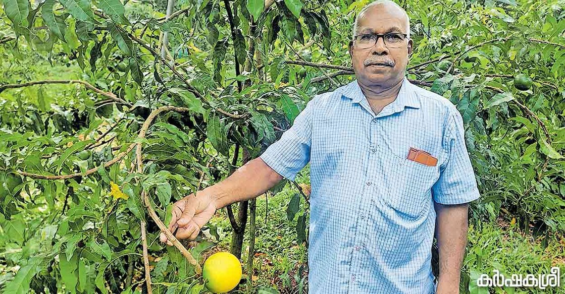 abiu-1 വി.എൻ.ഹരിദാസ്