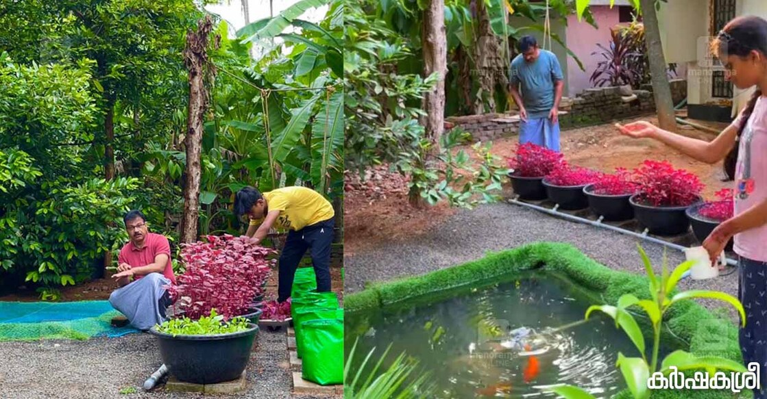 aquaponics