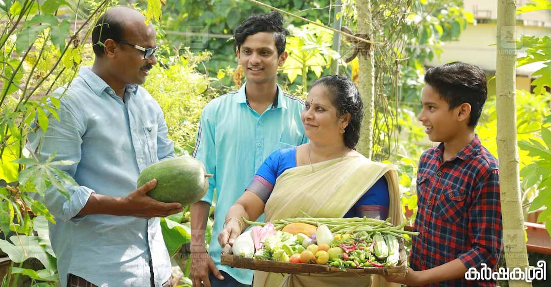 vegetable-garden-home-garden ചിത്രം∙കർഷകശ്രീ