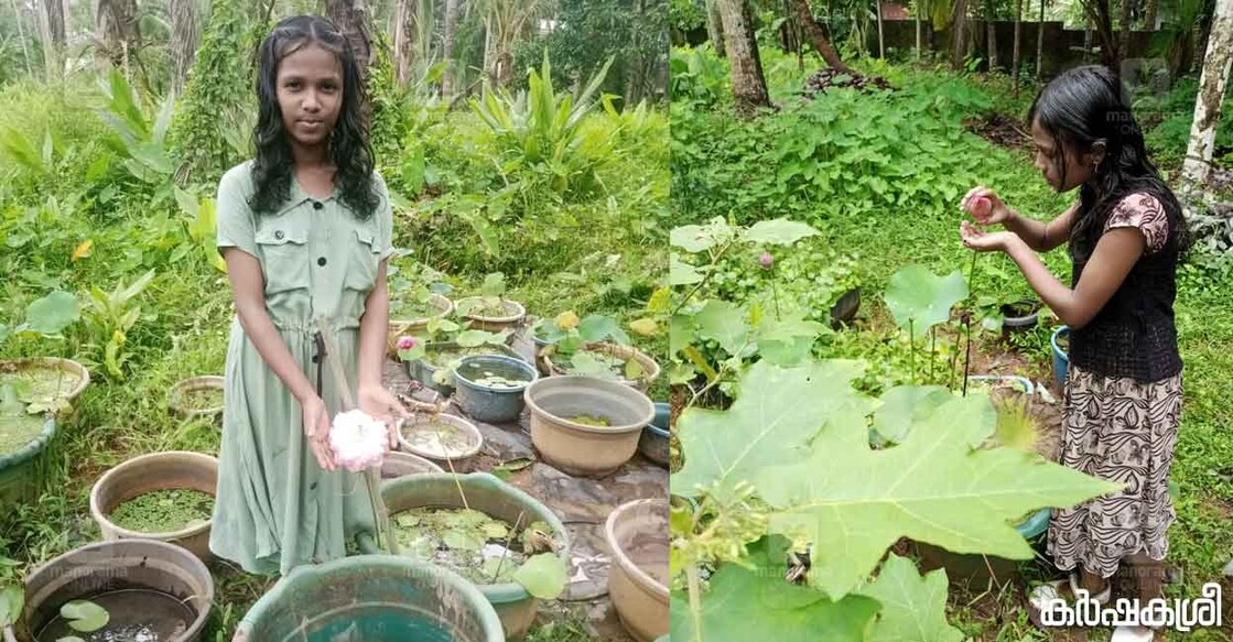 കാവ്യശ്രീ