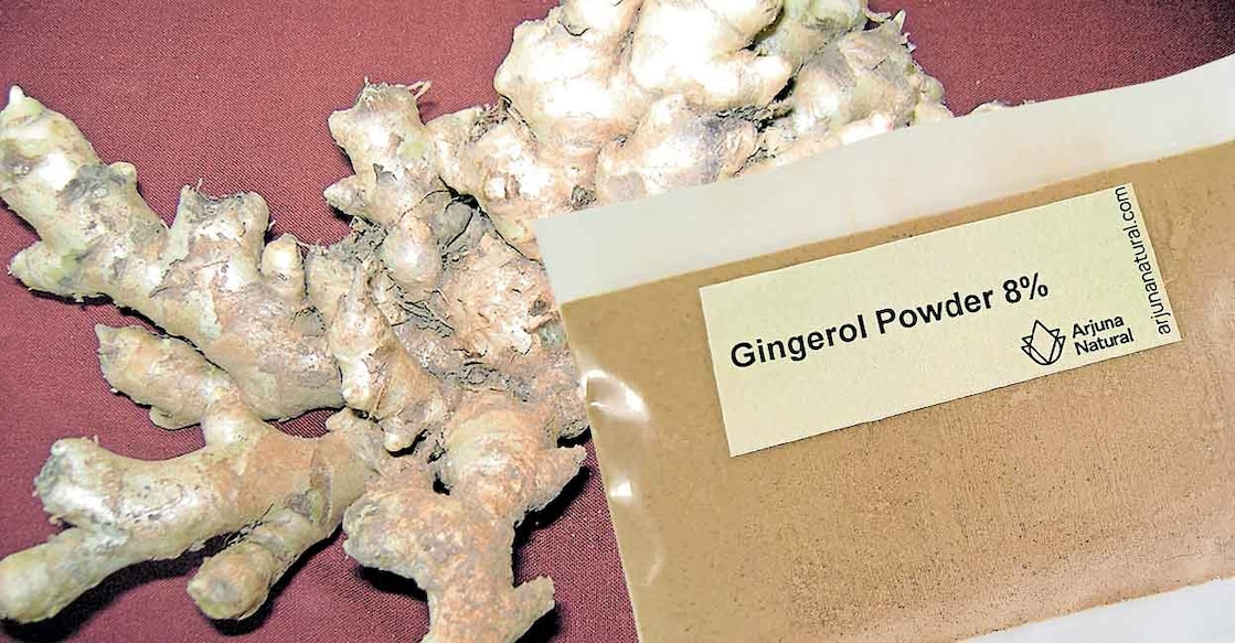 gingerol-1