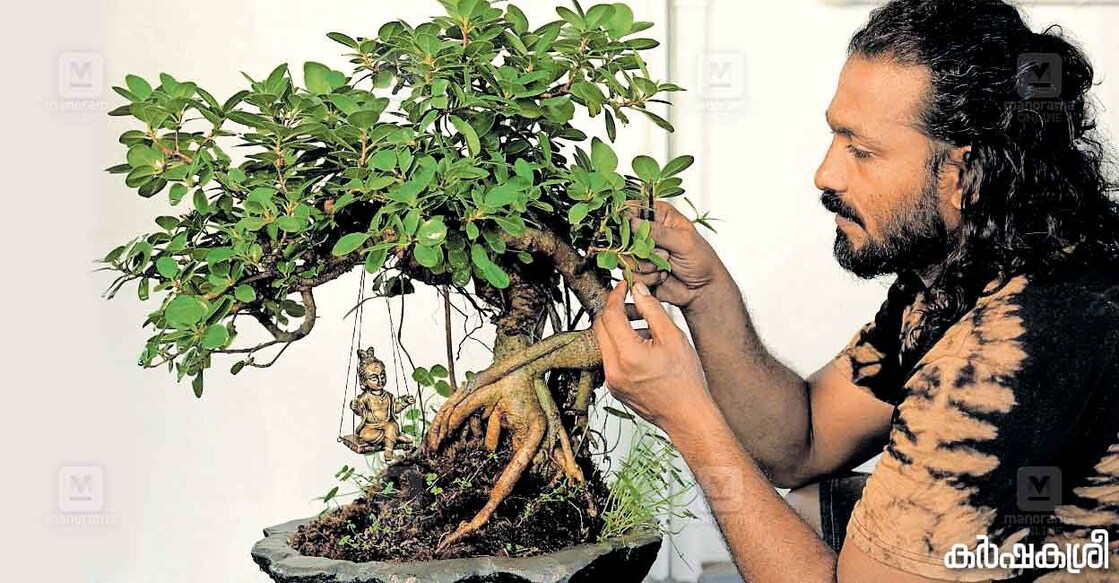 deepak-bonsai-1 ദീപക് ജോൺ