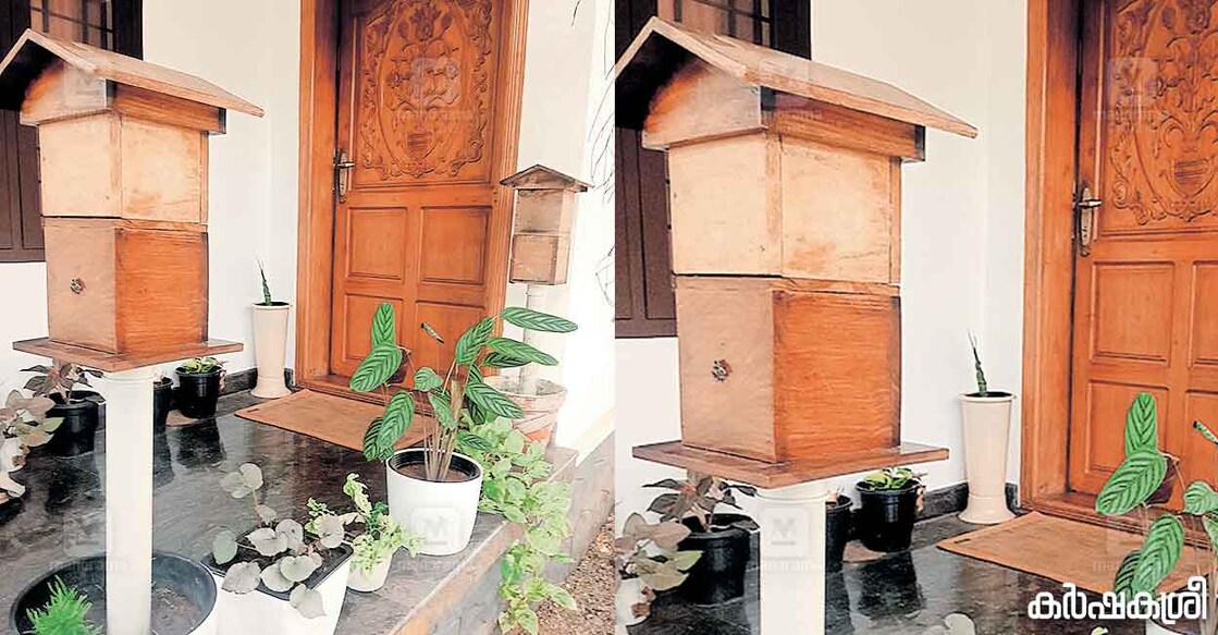 bee-keeping വീടിന്റെ വരാന്തയിൽ തേനീച്ചപ്പെട്ടികൾ വച്ചിരിക്കുന്നു