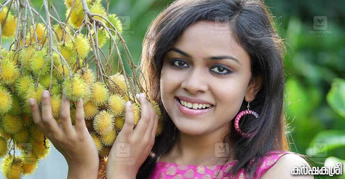 rambutan rambutan