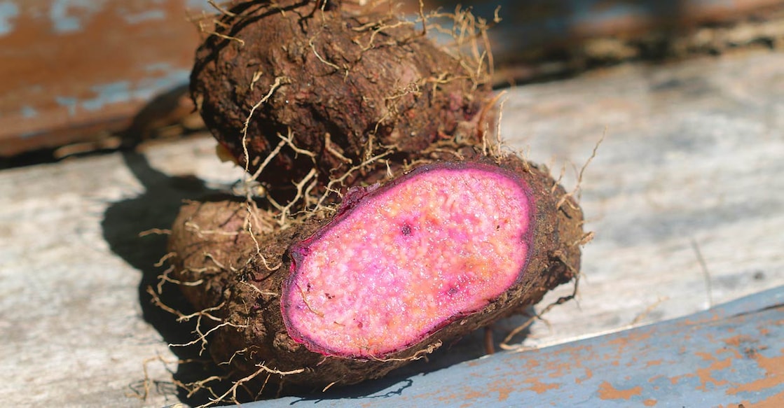 dioscorea Credit: Dinusha Rajapaksha/iStockPhoto