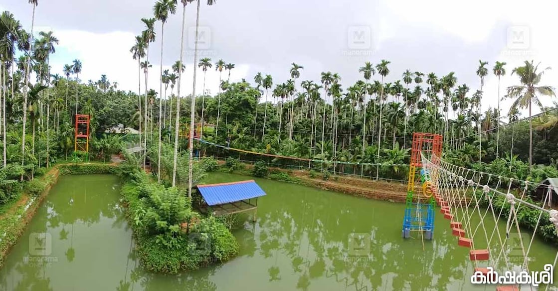farm-pathayappura-5 ഫാം പത്തായപ്പുരയിലെ ദൃശ്യം