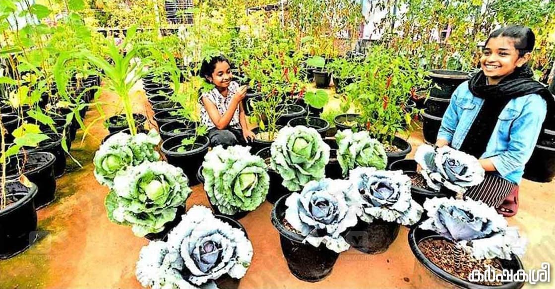 kids-and-veegtables ഫരീദ ഫിറോസും ഫാദിയ ഫിറോസും മട്ടുപ്പാവിലെ കൃഷിയിടത്തിൽ. ചിത്രം: മനോരമ