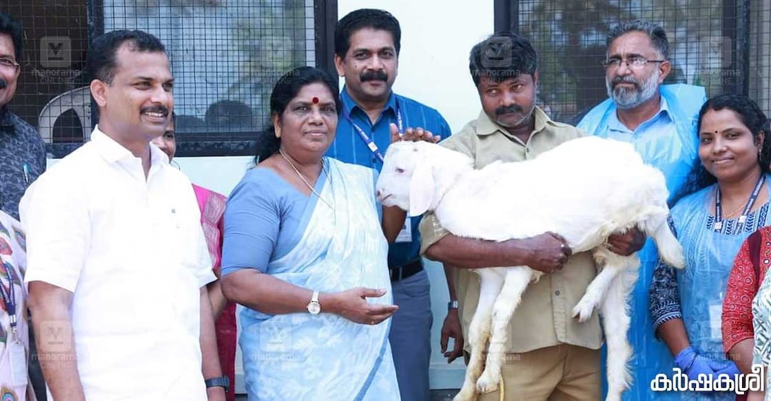 goat-vaccination-1 goat-vaccination-1