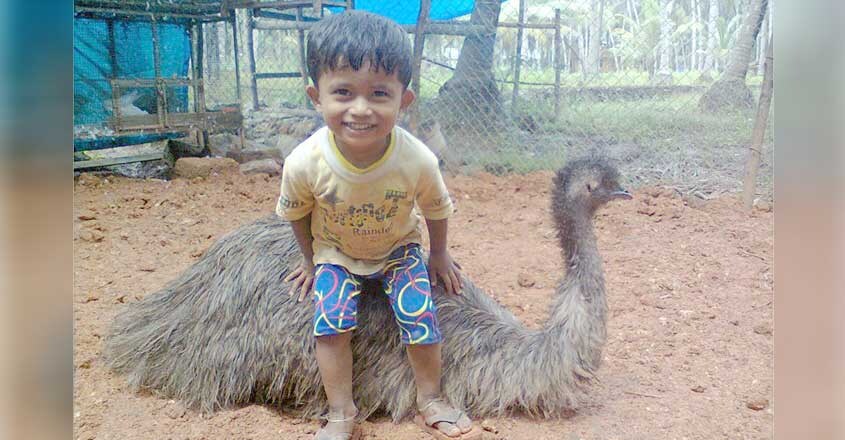 emu emu