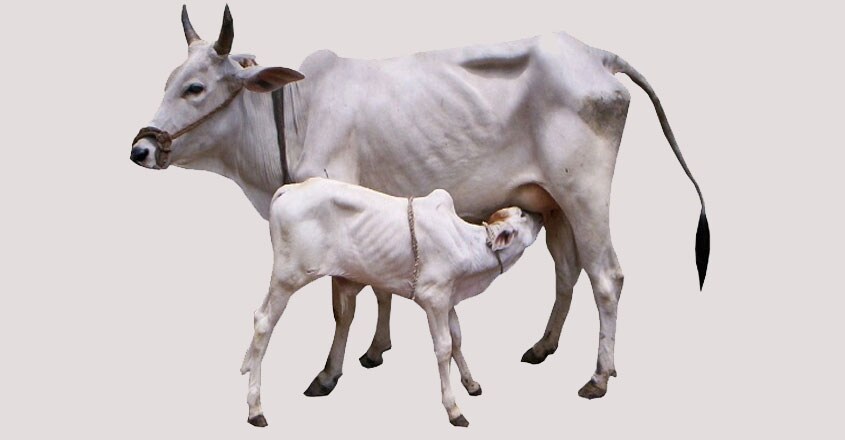 birjpuri--1 birjpuri--1
