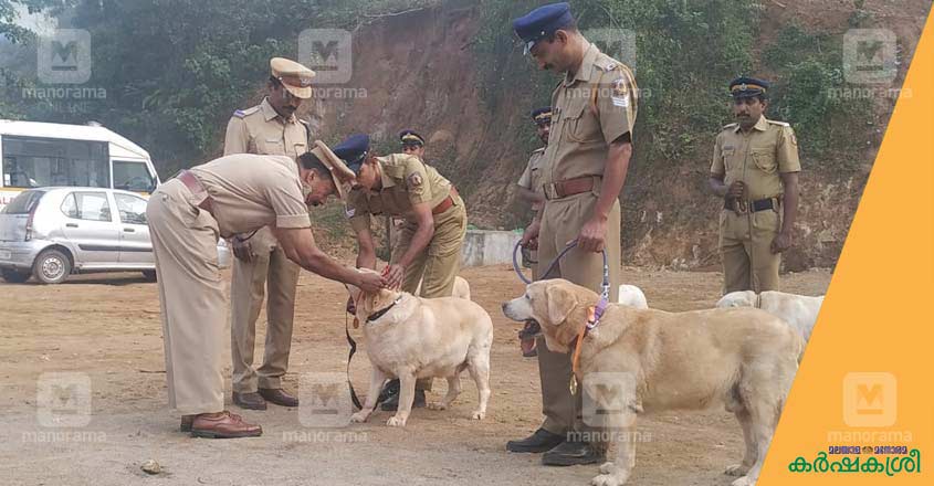 police-dog-3 police-dog-3