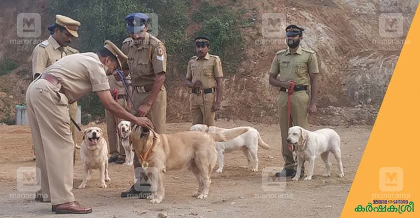 police-dog-5 police-dog-5