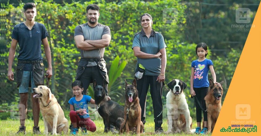 dog-training dog-training