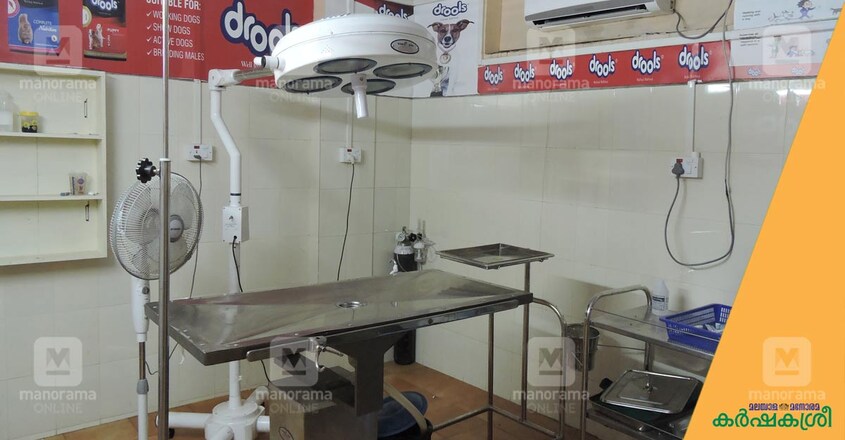 pet-hospital pet-hospital