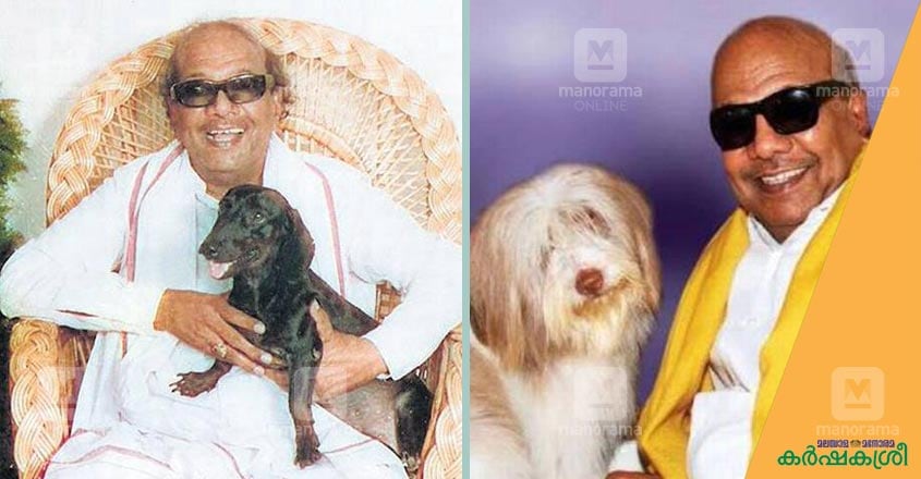 karunanithi karunanithi