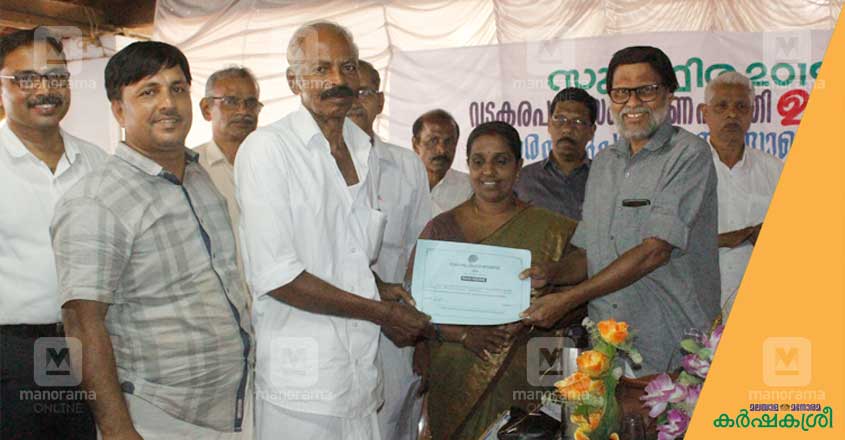 vadakara-cow-3 vadakara-cow-3