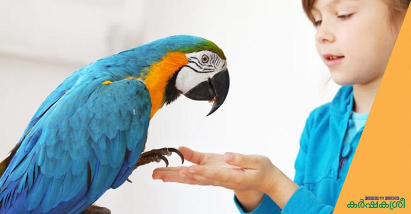 pet-therappy-2 pet-therappy-2