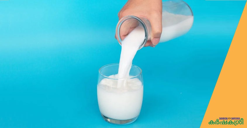 milk milk