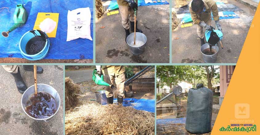 urea-straw urea-straw