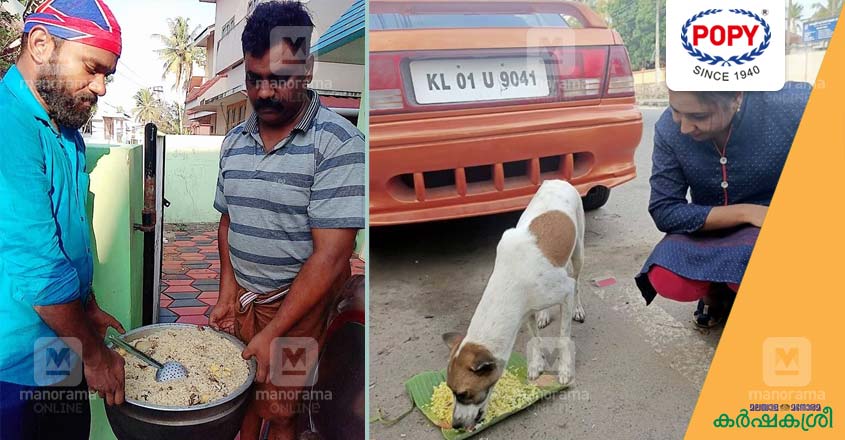 dog-food-1 dog-food-1
