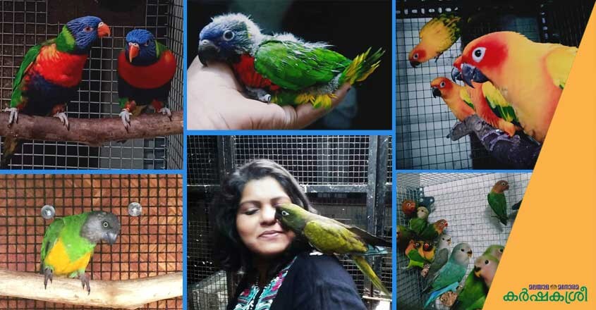 pets-tvm-1 pets-tvm-1