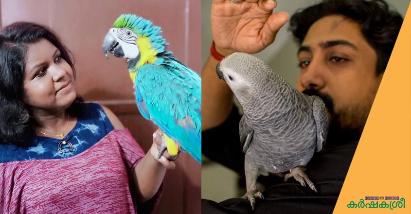 pets-tvm pets-tvm