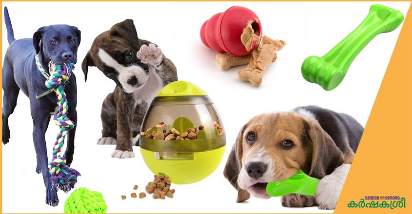 dog-toys dog-toys