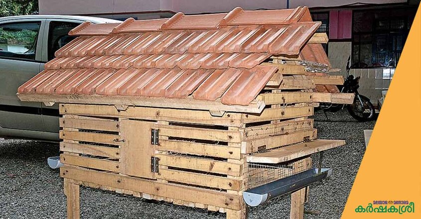 poultry-cage-1 poultry-cage-1