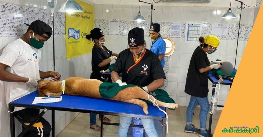 mission-rabies-3 mission-rabies-3