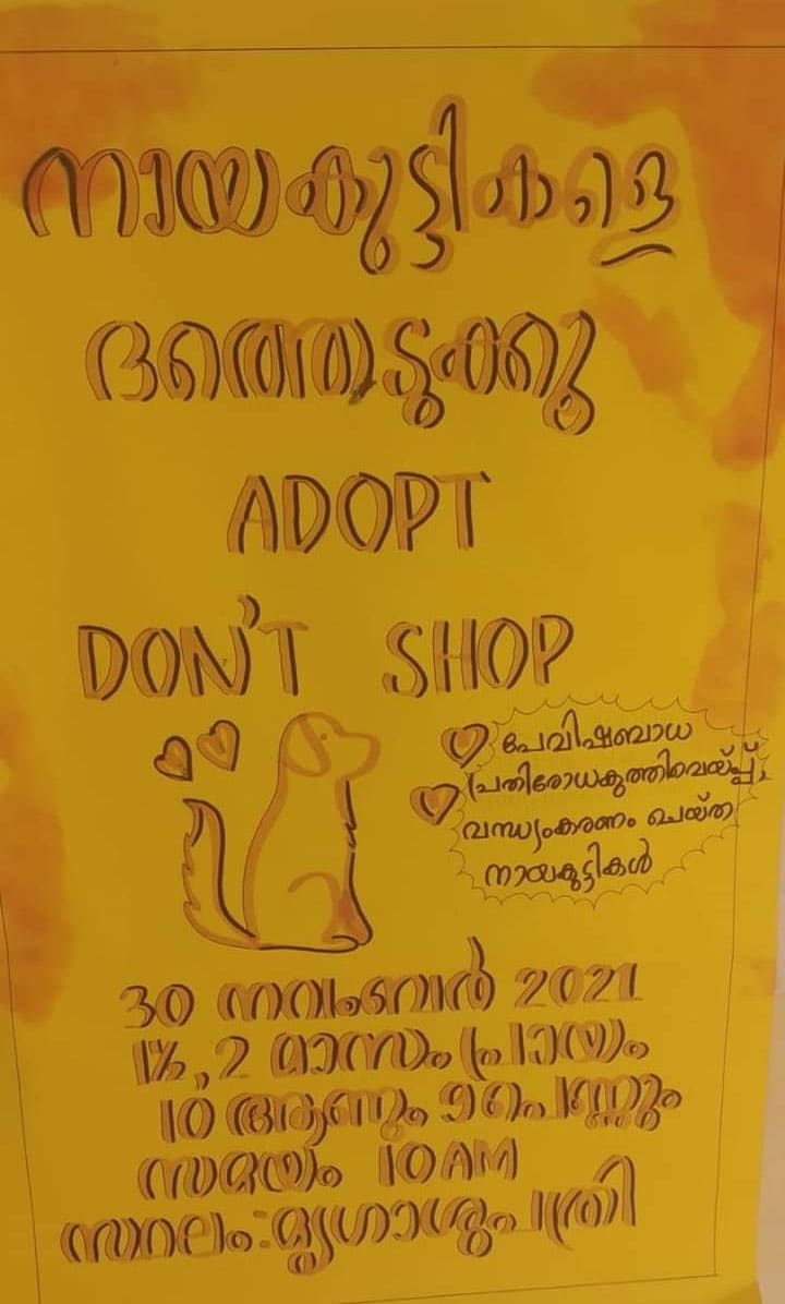 adoption-1 adoption-1