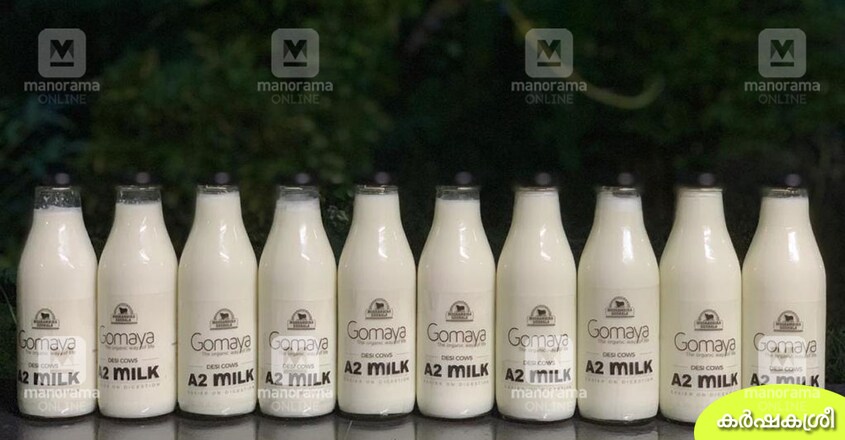 desi-cow-milk
