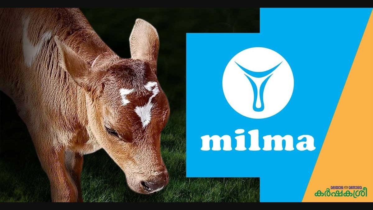 MILMA Admit Card 2021 (Released) | Exam Date | milma.com