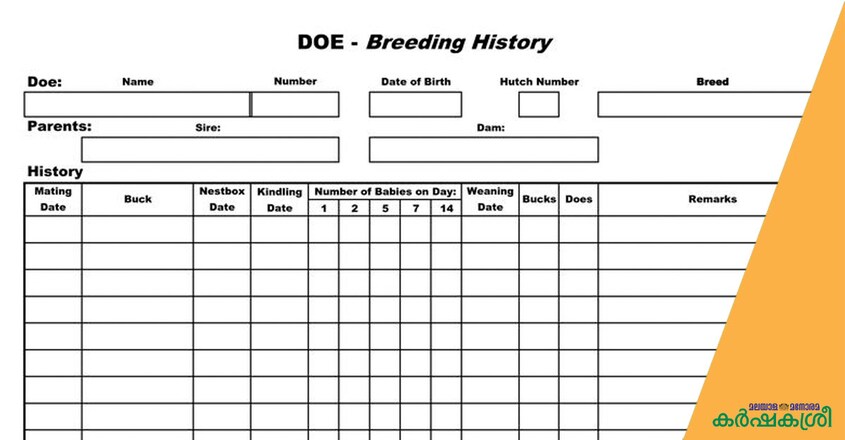rabbit-farming-food-chart rabbit-farming-food-chart