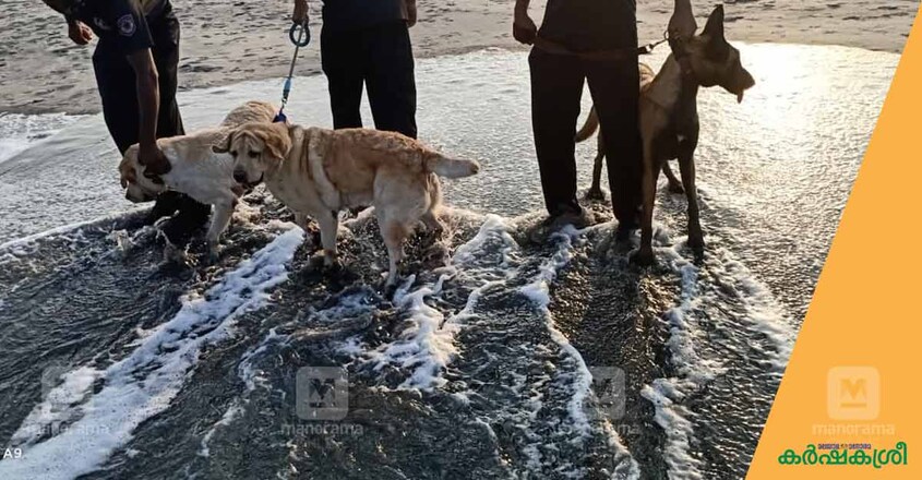 police-dog-3 police-dog-3