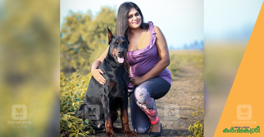 dog-dober-man-1 dog-dober-man-1