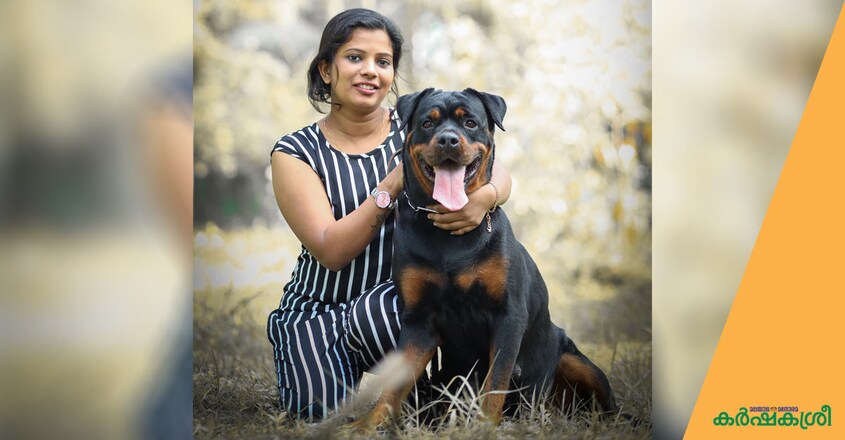 dog-rott dog-rott