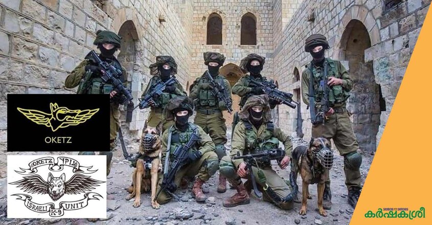 israeli-dog-squad-1 israeli-dog-squad-1